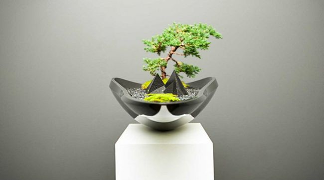3D打印微型盆栽装点创意生活