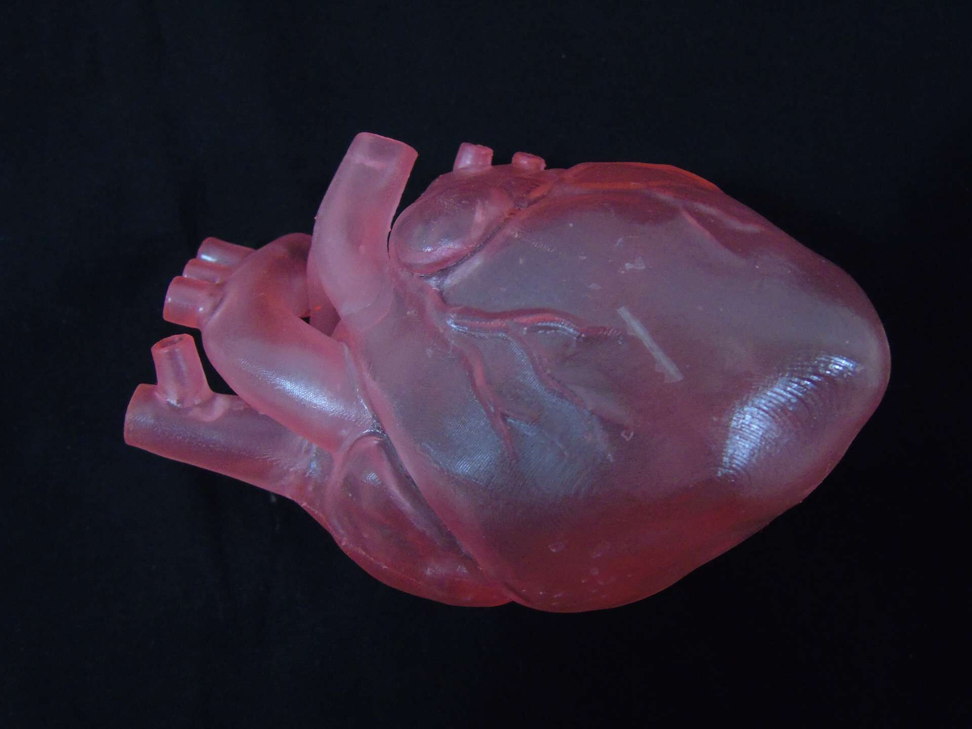 3D打印心脏