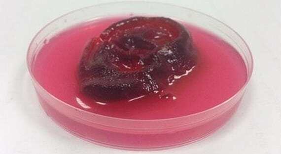 英國醫(yī)院正開發(fā)3D打印鼻子耳朵有望在4年內(nèi)實(shí)際應(yīng)用