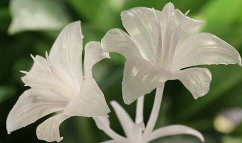 魔猴網(wǎng)3D打印家居用品：讓蝸居變我居