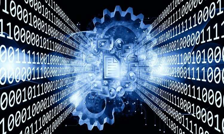 干貨！詳解魔猴盒子