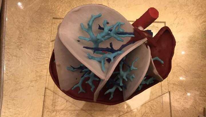 2020年3D生物打印人體肝臟組織將成為現實