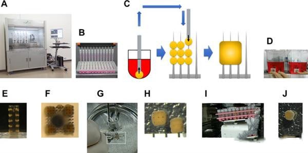 東京大學用3D打印技術造出活性肝組織