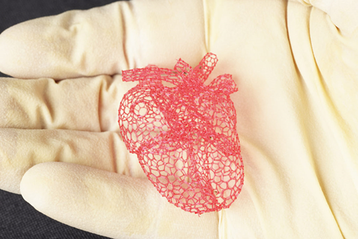 糖支架可能对生物3D打印和微流控产生影响