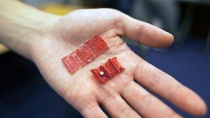 要不要試試能吃的3D打印機(jī)器人？