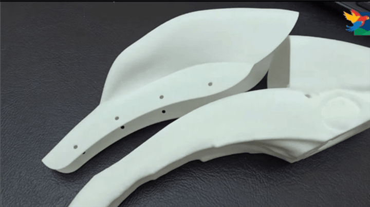 案例！大犀鳥利用3D打印假體治好了癌癥