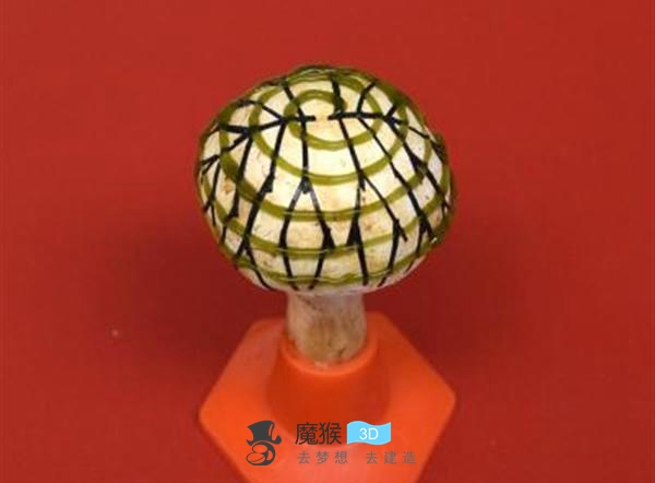 研究人员开发出使用石墨烯发电的3D打印仿生蘑菇