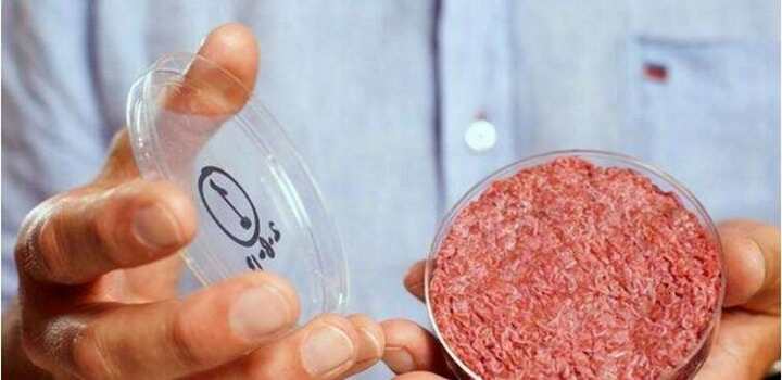 由豌豆和海藻制成的3D打印牛排未來將走上餐桌