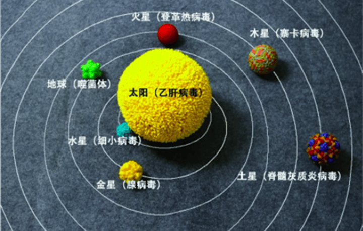 彩色3D打印病毒模型，讓你直觀了解微觀世界