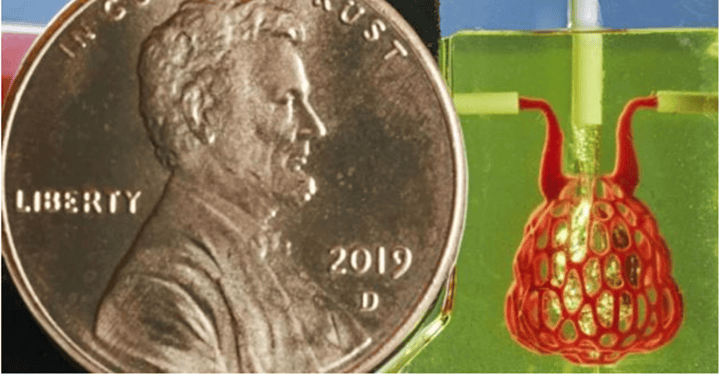 3D打印會(huì)“呼吸”的肺，3D打印器官難以逾越的天塹被攻克！