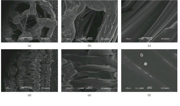 纳米纤维涂层管状支架骨再生的生物3D打印技术