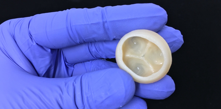 CMU科学家使用新颖的生物3D打印来构建人类心脏功能部分