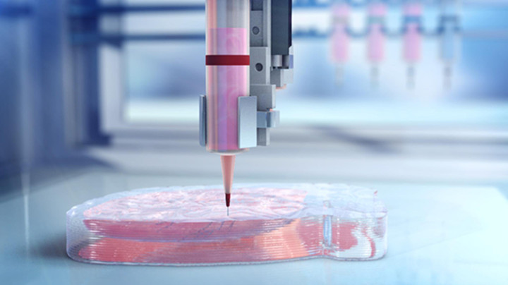 美国BIOLIFE4D公司生物3D打印心脏用于心脏毒性测试