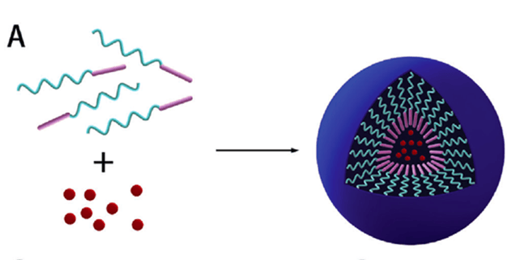 我國科學(xué)家開發(fā)3D打印的藥物神經(jīng)繃帶