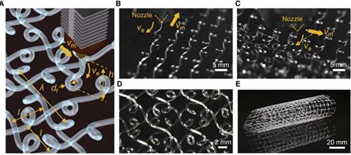 受蜘蛛網(wǎng)啟發(fā)！3D打印透明復(fù)合材料可保護(hù)手機(jī)屏