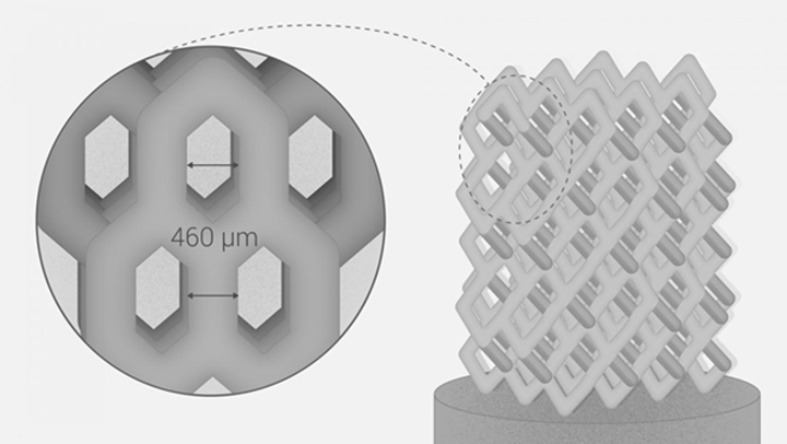 SKOLTECH科学家开发了3D打印个性化陶瓷骨植入物的新方法