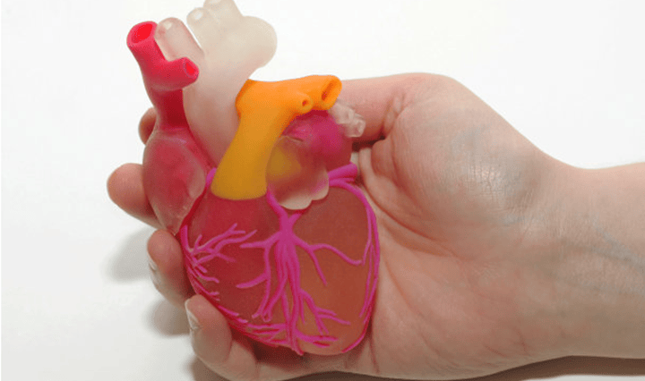 卡內(nèi)基研究人員開發(fā)全尺寸生物3D打印人體模型的新方法