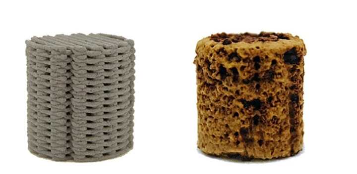 代爾夫特研究人員使用多孔鐵進(jìn)行3D打印可生物降解的骨植入物