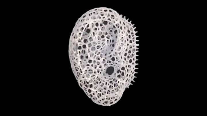 “反向”3D打印法以更快制造骨修復(fù)支架植入物