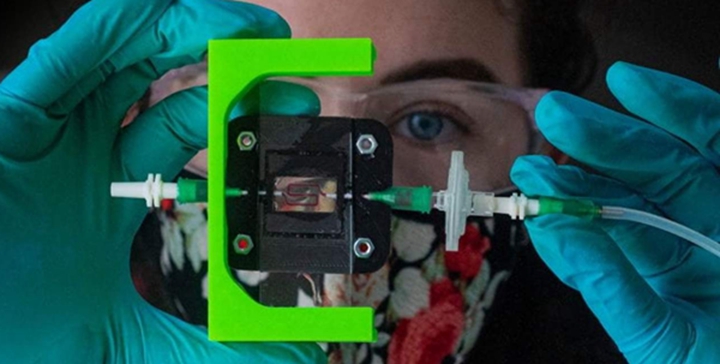 莱斯大学生物工程师3D打印能产生胰岛素的植入物