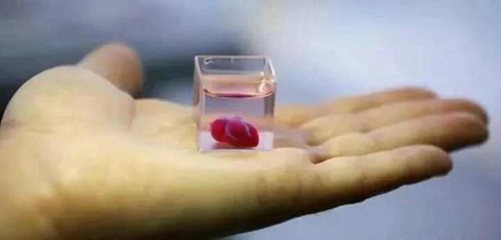 全球首顆3D打印心臟問世！“換心”不再遙遙無期