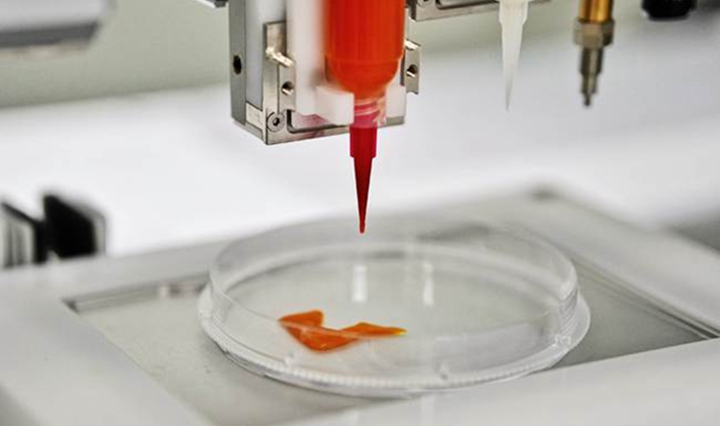 3D打印出类似真肉的口感，细胞培养肉公司「CellX」完成数千万元人民币天使轮融资