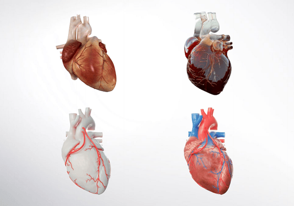 理光和IBM推出新的3D打印解剖模型工作流程解決方案