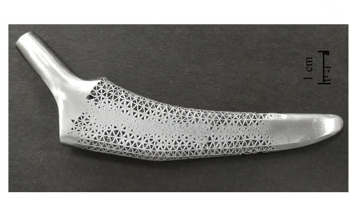 3D打印優(yōu)化結(jié)構(gòu)髖關(guān)節(jié)植入體