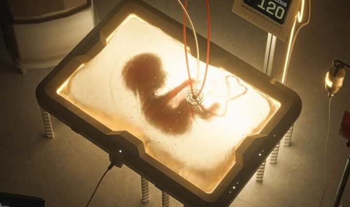 3D打印人造子宮來了，未來女性也不用親自懷孕了？