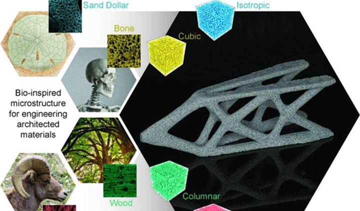 新型仿生微结构为3D打印骨植入物和喷气发动机铺平道路