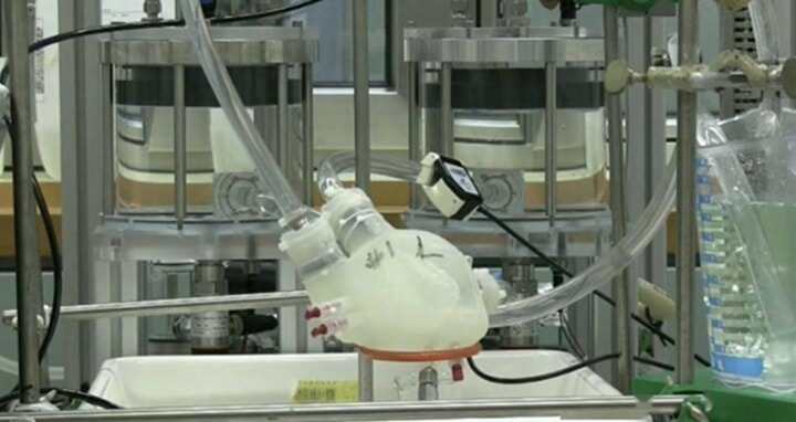 哈佛大學(xué)開發(fā)出伴隨母體生長的3D生物打印心臟技術(shù)！