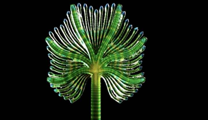 新西蘭4D打印專家使用Stratasys打印機創(chuàng)建液體結(jié)構(gòu)藝術(shù)品