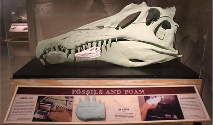 生物3D打印心肌組織可體外存活超6個(gè)月！