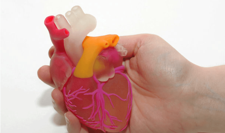 3D打印支架中構(gòu)筑類骨ECM微環(huán)境，促進(jìn)骨再生