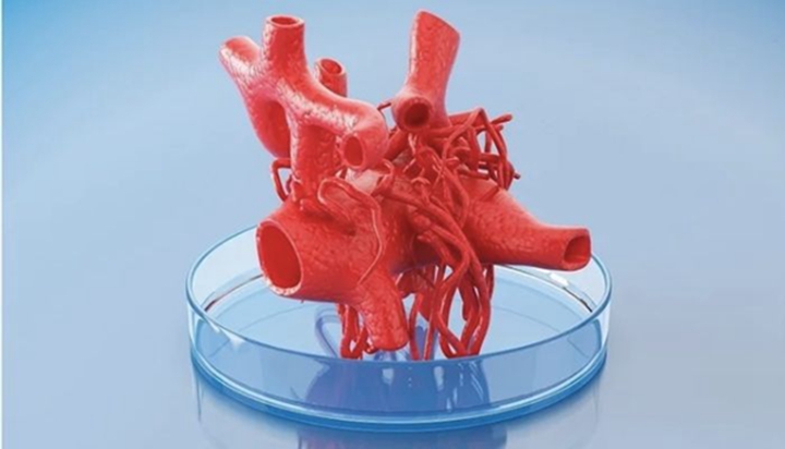 用于骨組織工程領域的3D打印抗菌支架 - 圖片