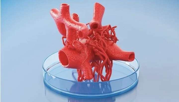 用于骨組織工程領(lǐng)域的3D打印抗菌支架