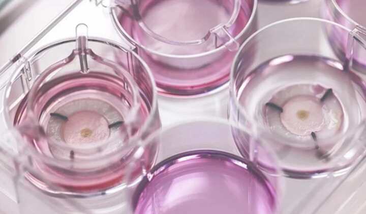 香奈兒與Labskin Creations合作推出3D生物打印皮膚