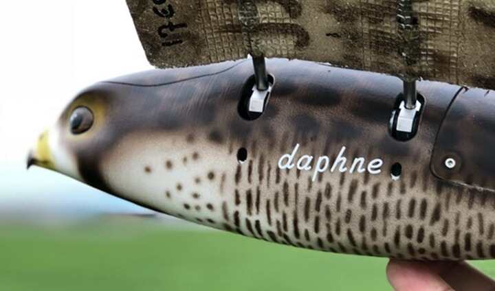 3D打印超逼真的“獵鷹形”無(wú)人機(jī)