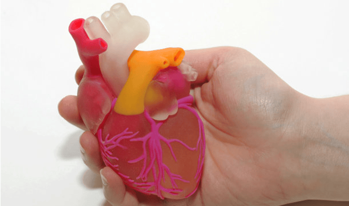 悉尼科技大學(xué)研究人員開發(fā)出3D打印心臟組織的突破性心力衰竭療法