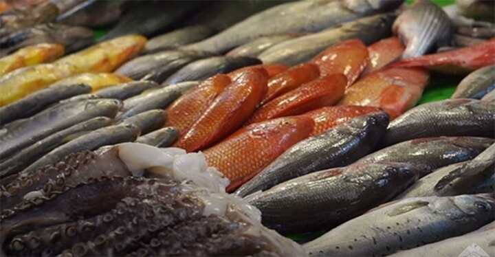 3D打印植物基魷魚圈或?qū)⒌巧喜藛?>
                      </a>
                    </div>
                                        <div   id=