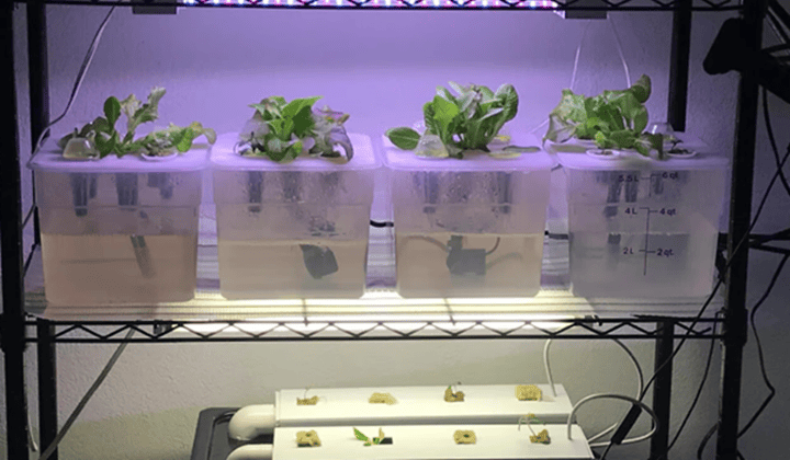 2023年5個令人驚嘆的3D打印水培項目