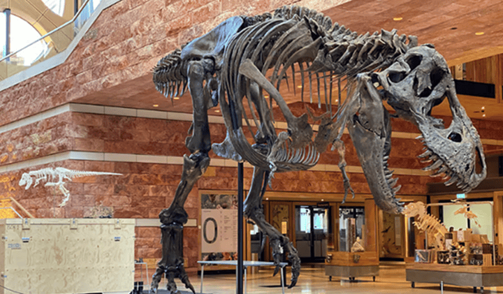 大型3D打印–終極指南