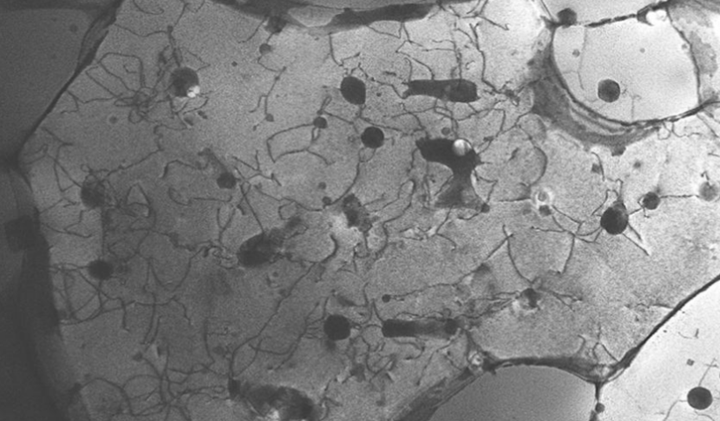 發(fā)現(xiàn)一種不尋常的晶體，可使3D打印金屬更加堅(jiān)固