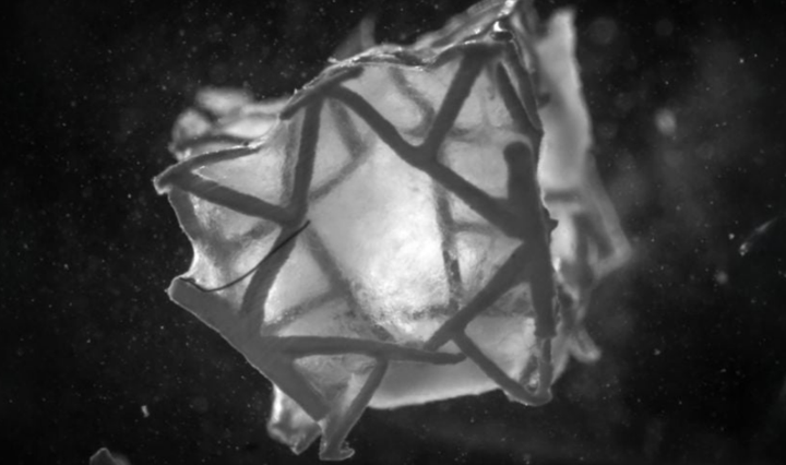 蘇黎世聯(lián)邦理工學(xué)院的新型 3D 打印心臟貼片