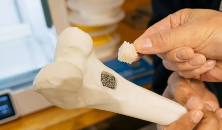 通過3D打印技術(shù)模仿和理解骨骼行為