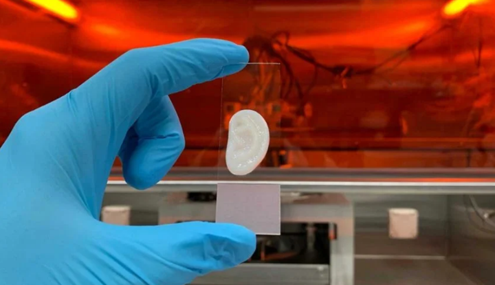 3D打印的彈性耳軟骨 - 圖片