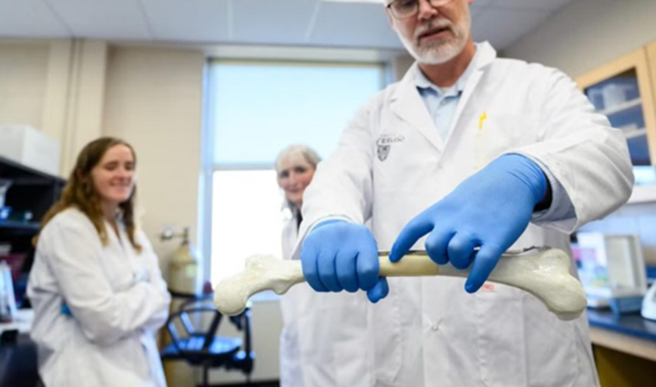 研究人員開發(fā)出天然3D打印骨移植材料，可減少金屬植入物引起的并發(fā)癥 - 圖片