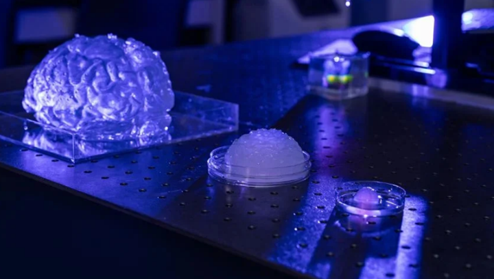比以往任何時(shí)候都更加逼真：這款3D打印的大腦模仿了生物體的紋理和電活動(dòng)