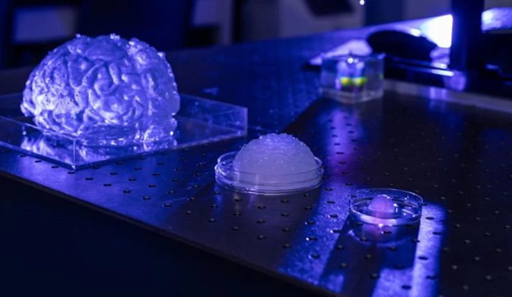 比以往任何時候都更加逼真：這款3D打印的大腦模仿了生物體的紋理和電活動