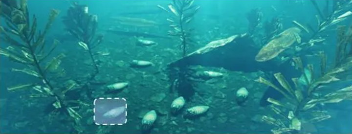 3D打印潜水服让电子蟑螂能在水下游泳